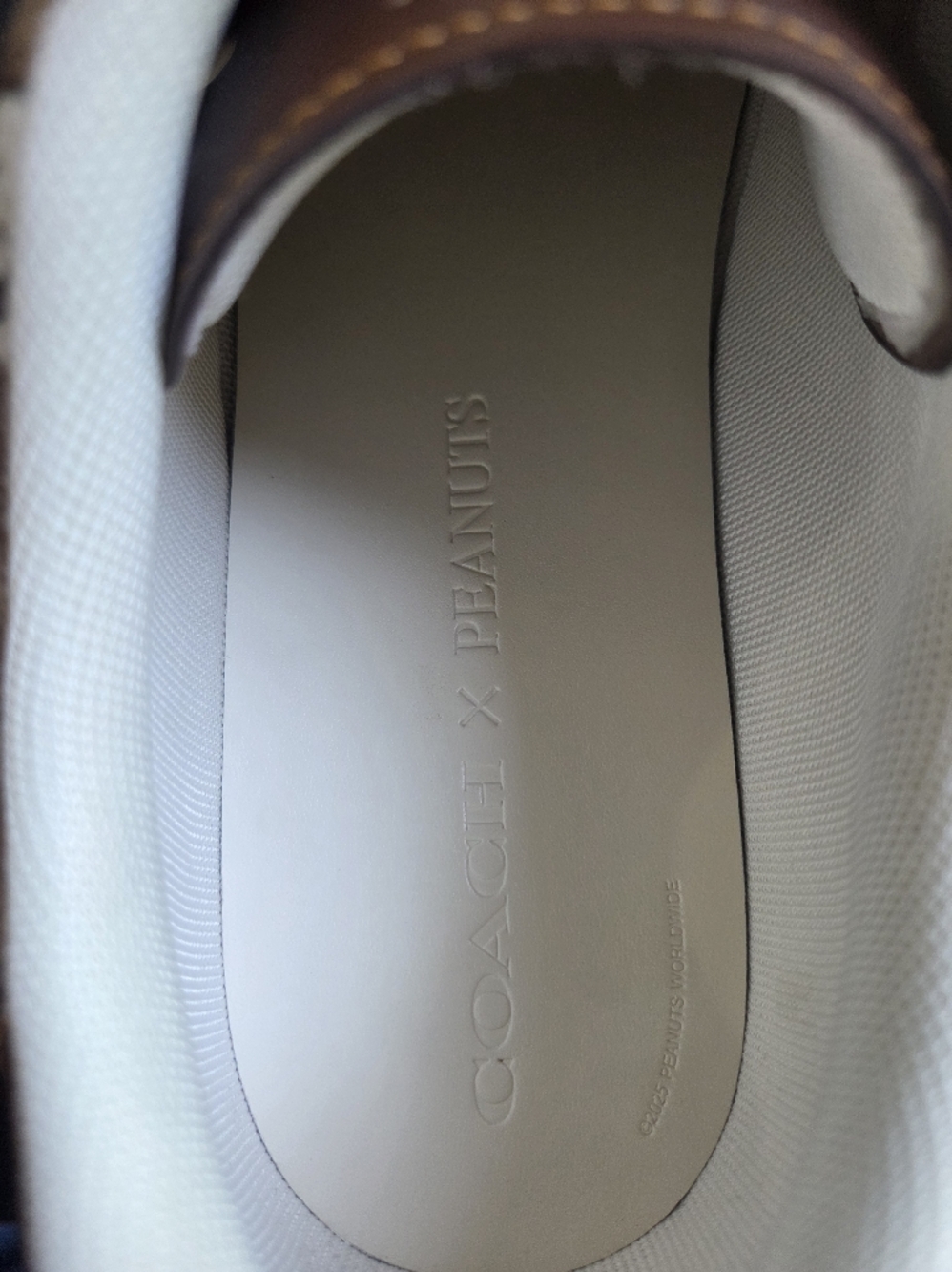 Coach × Peanuts Shoes - Picture 8 of 16
